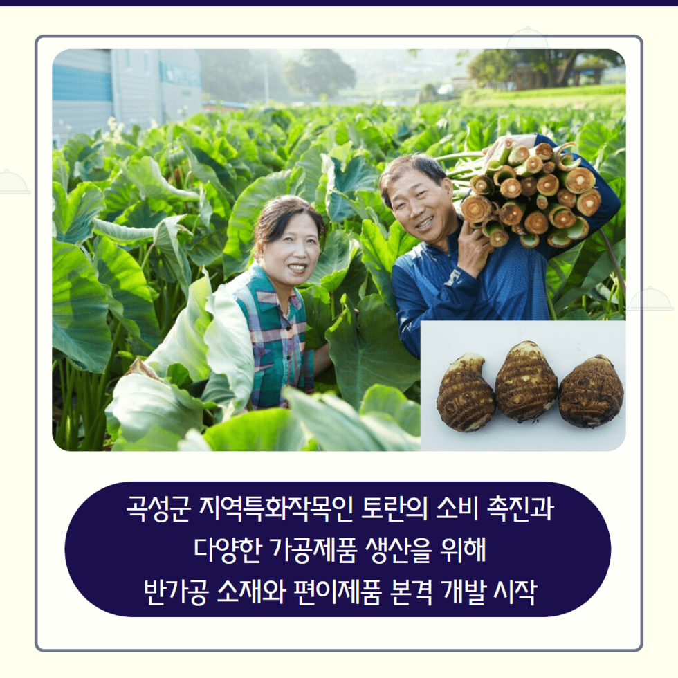 50. 토란 밀키트개발 박차 2.png