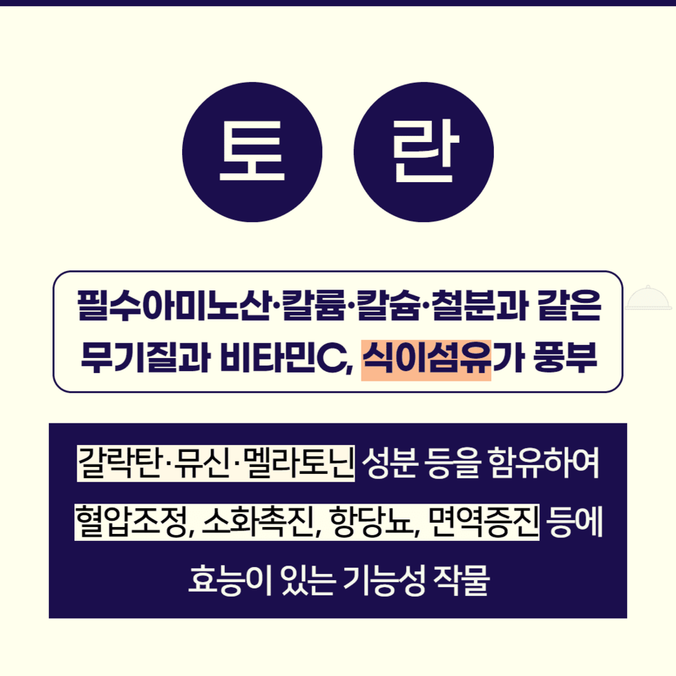 50. 토란 밀키트개발 박차 3.png