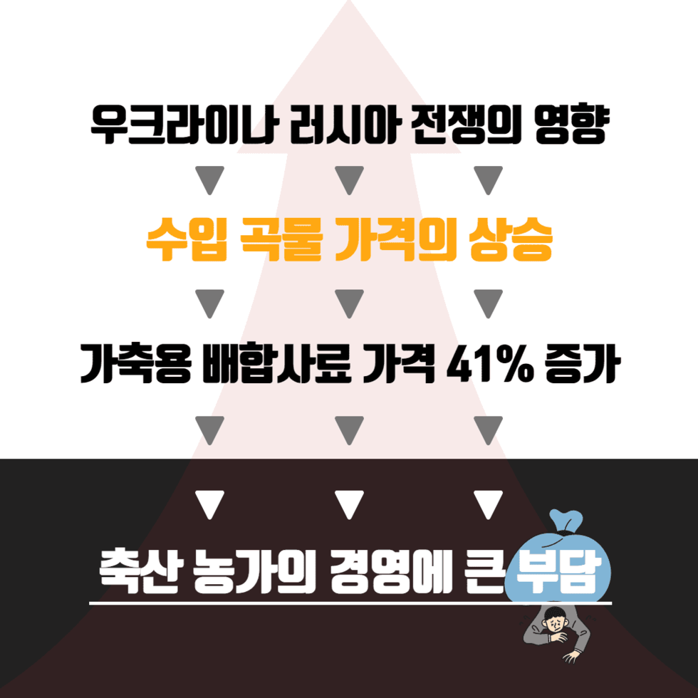 53. 논벼 대체 조사료 재배 기술지원 강화 2.png