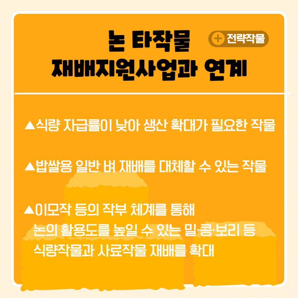 53. 논벼 대체 조사료 재배 기술지원 강화 4.png