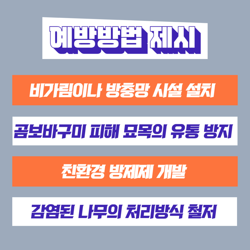 56. 무화과 곰보바구미 피해 대책 마련 나서 4.png