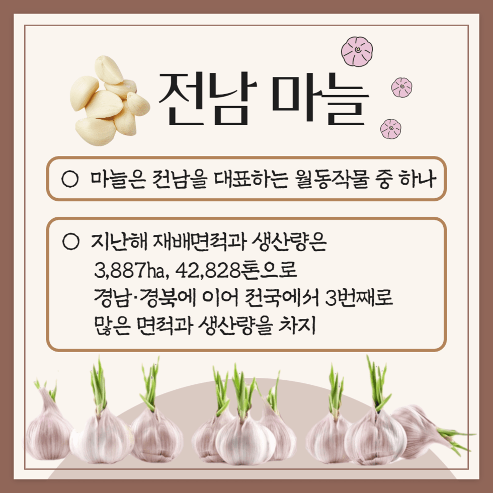 65. ‘우량 씨마늘 보급체계 구축’ 위한 벤치마킹 성료 3.png