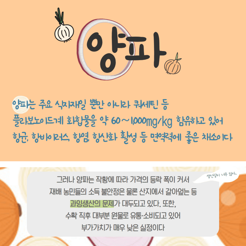 67. ‘과잉생산 양파’ 기능성 제품 개발로 승부 2.png