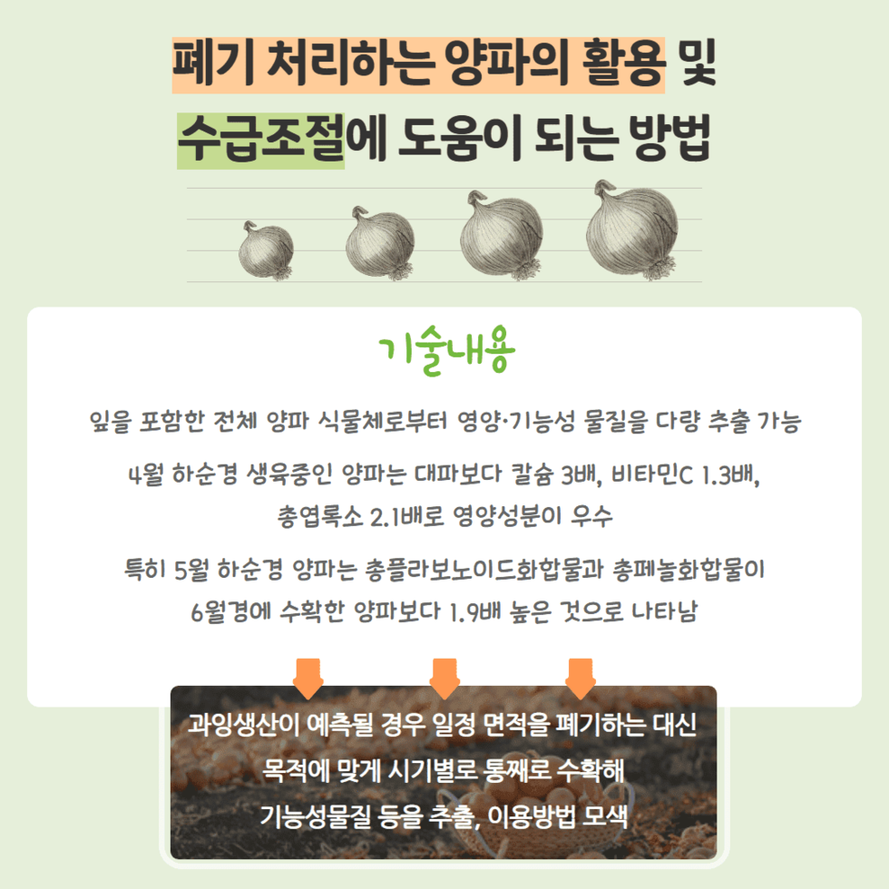 67. ‘과잉생산 양파’ 기능성 제품 개발로 승부 3.png