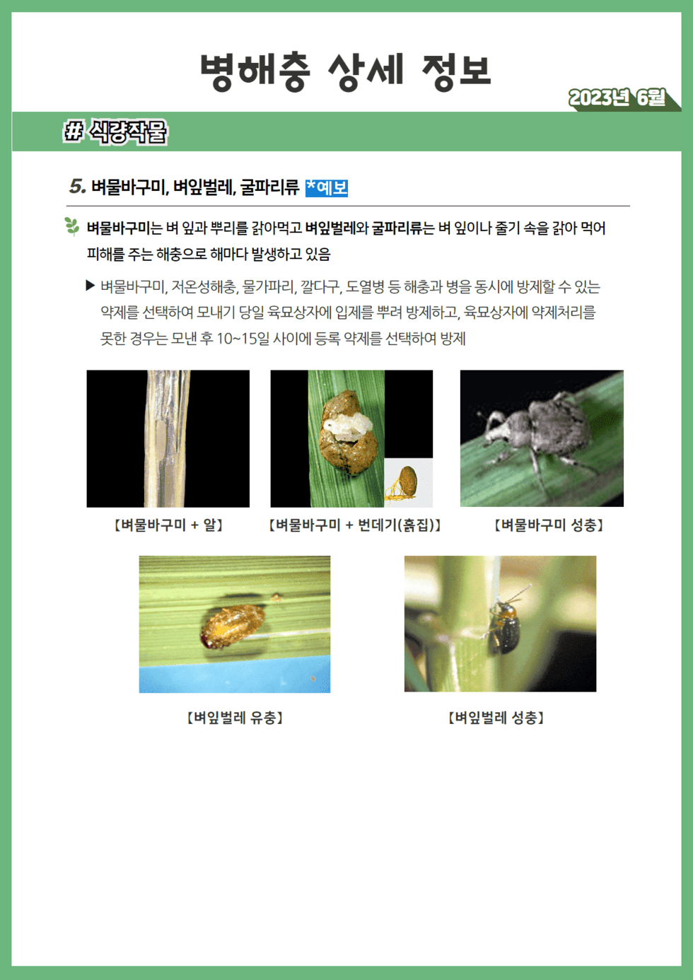 23년 6월 농작물 병해충 발생정보 4.png