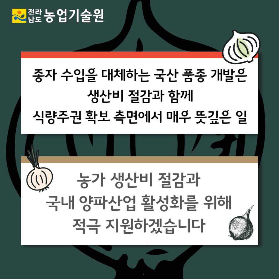 73. 국산 양파 품종 자체 개발 및 보급 6.png