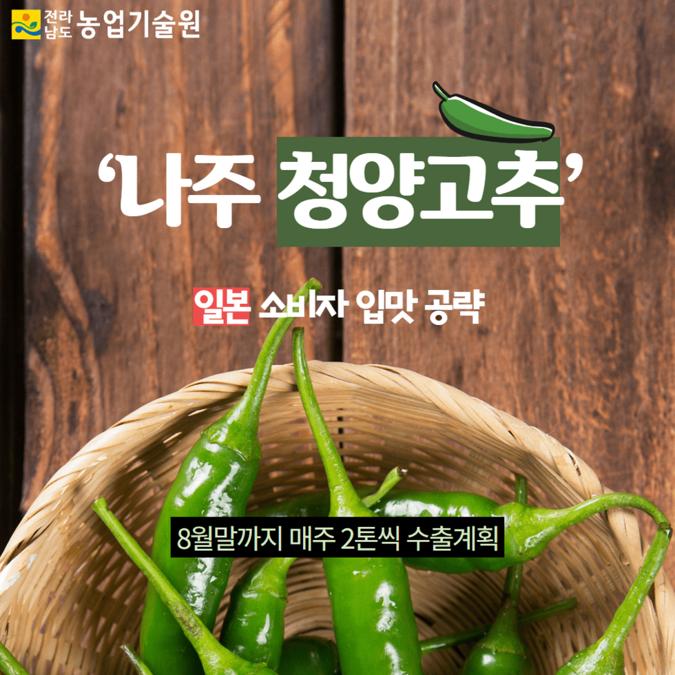 79. 나주 청양고추 일본 소비자 입맛 공략 1.png