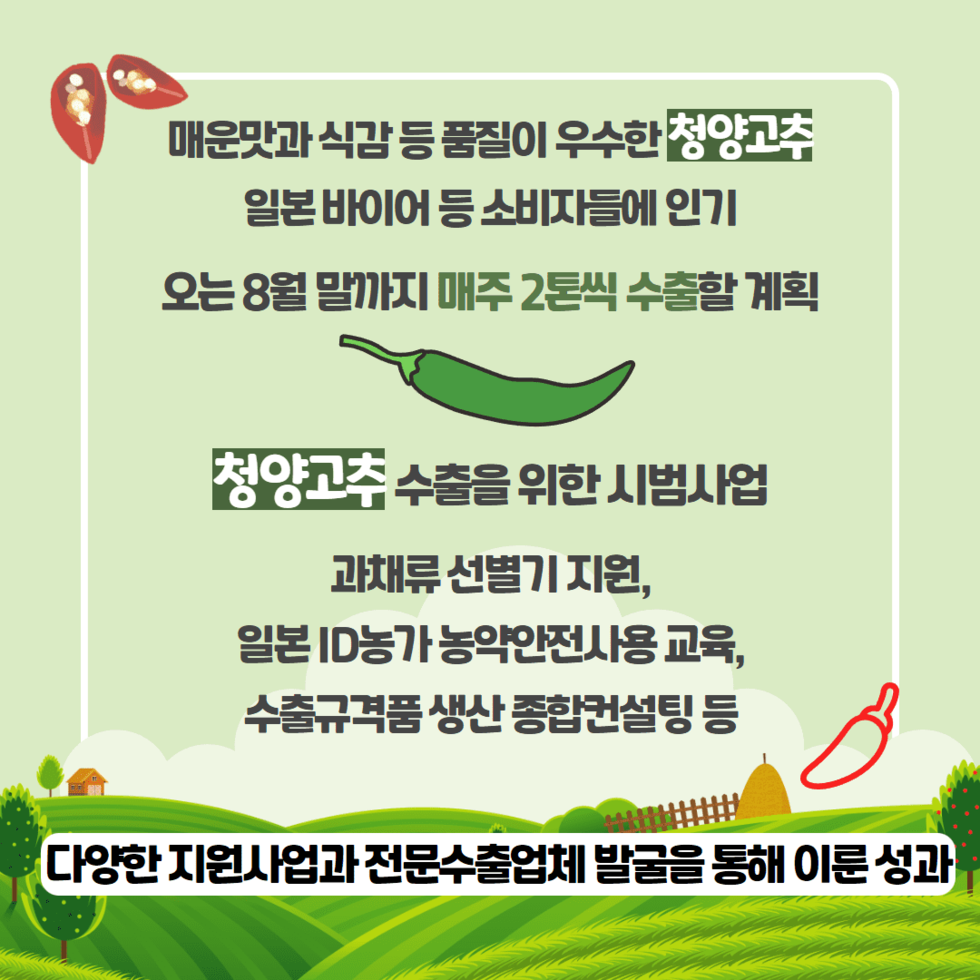 79. 나주 청양고추 일본 소비자 입맛 공략 2.png