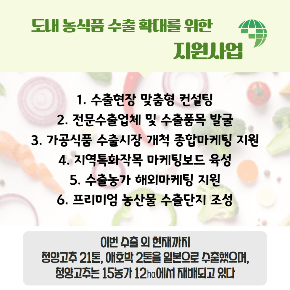 79. 나주 청양고추 일본 소비자 입맛 공략 3.png