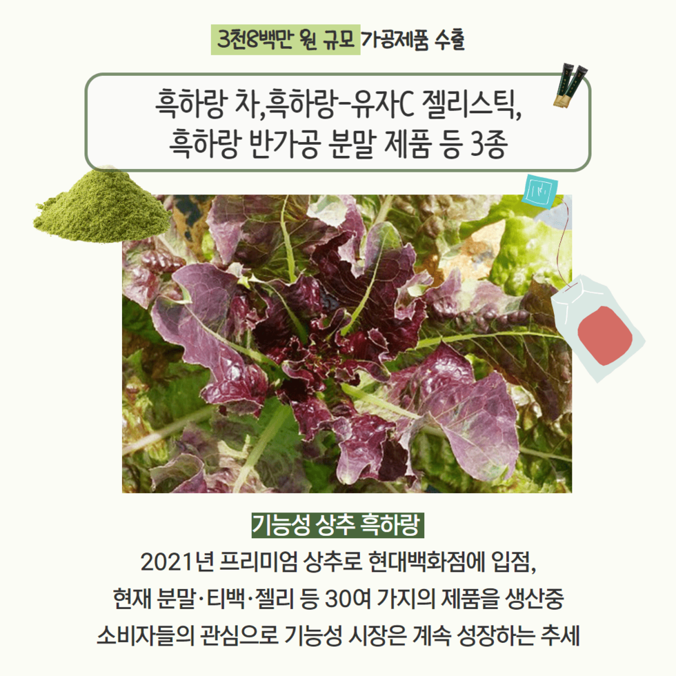 83. 기능성 상추 ‘흑하랑 가공제품’ 일본 첫 수출 2.png