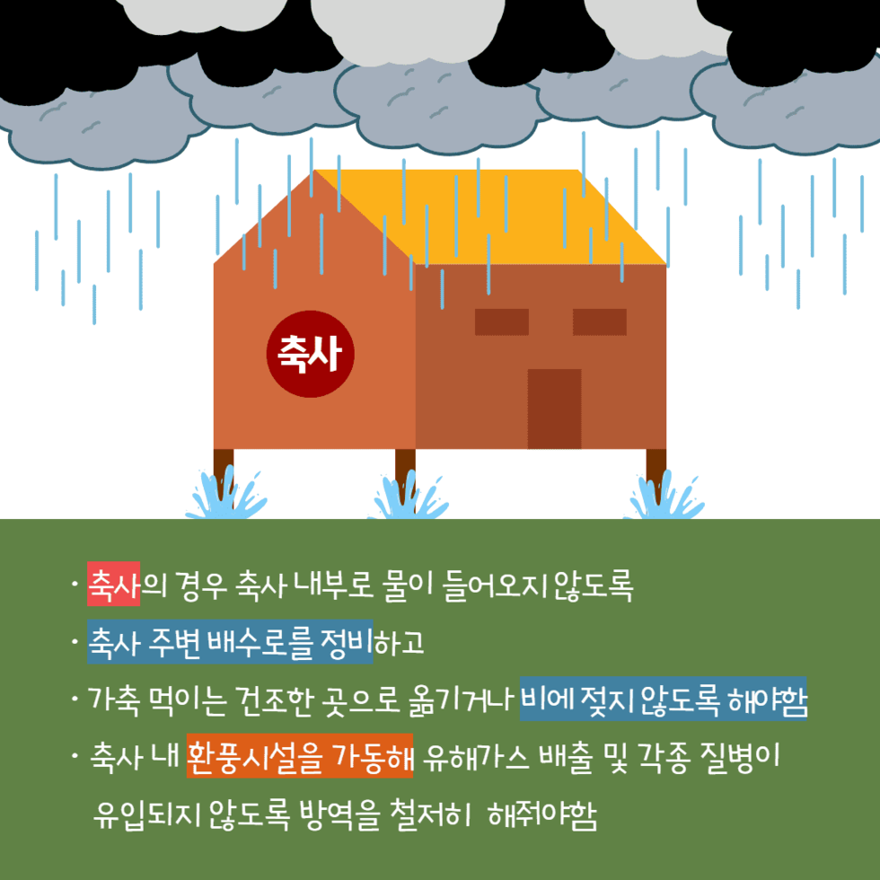 85. 장마철 농작물 관리 철저 당부 4.png