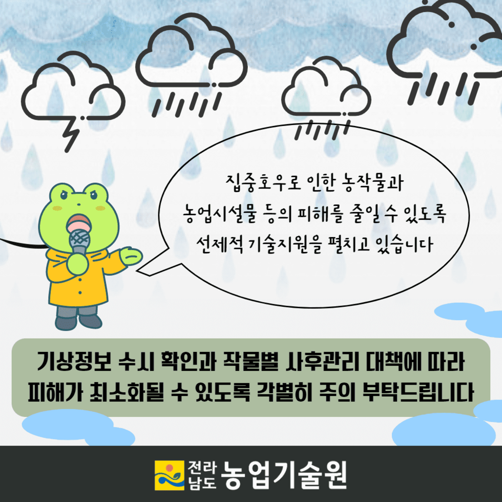 85. 장마철 농작물 관리 철저 당부 6.png