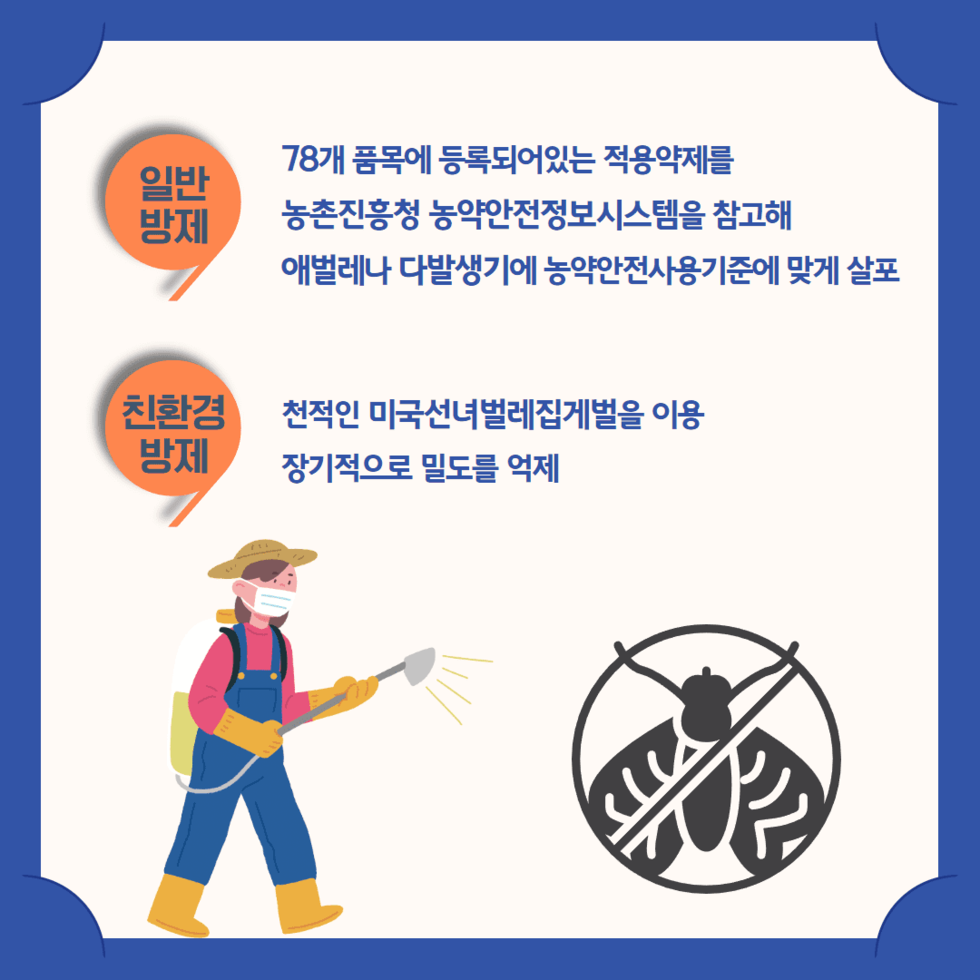 92. 돌발해충 ‘미국선녀벌레’ 예찰·방제 당부 4.png