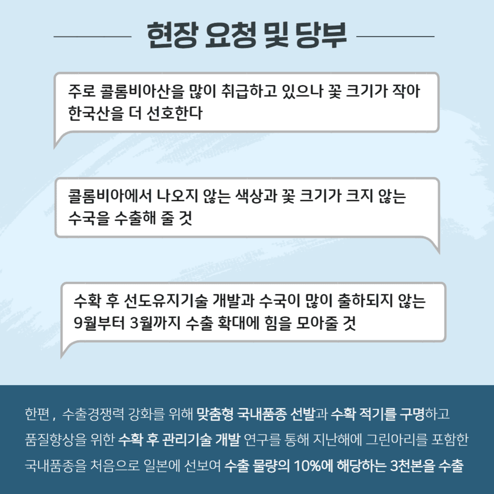 97. 전남농기원 육성 절화수국, 일본 소비시장 공략 나서 3.png