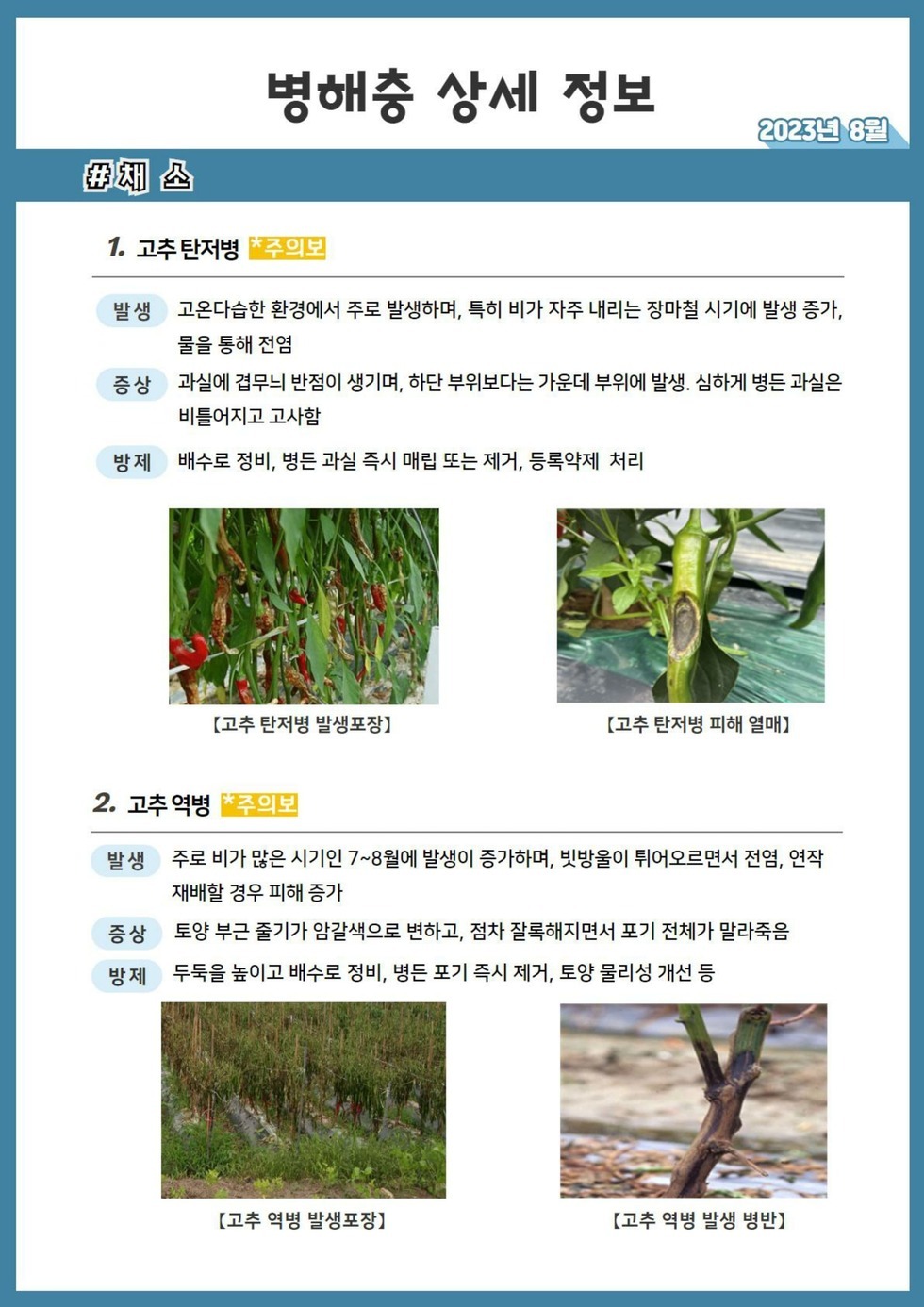 104. 23년 8월 농작물 병해충 발생정보_5.jpg