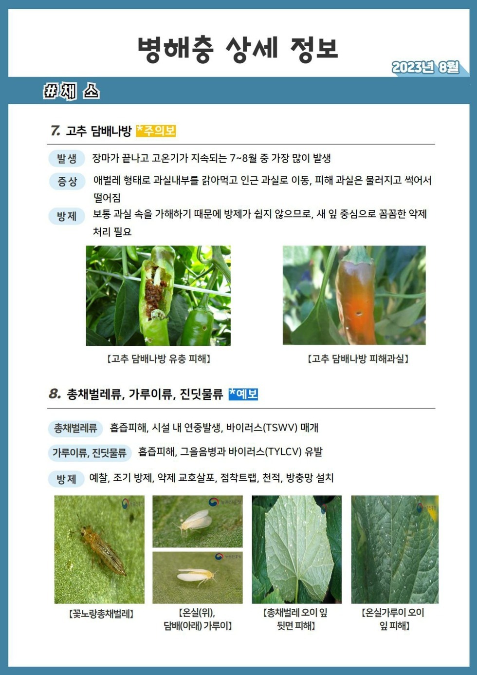 104. 23년 8월 농작물 병해충 발생정보_8.jpg