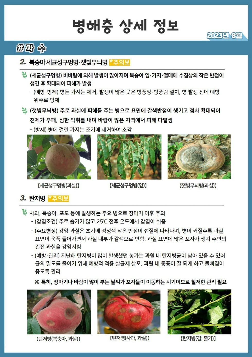 104. 23년 8월 농작물 병해충 발생정보_10.jpg