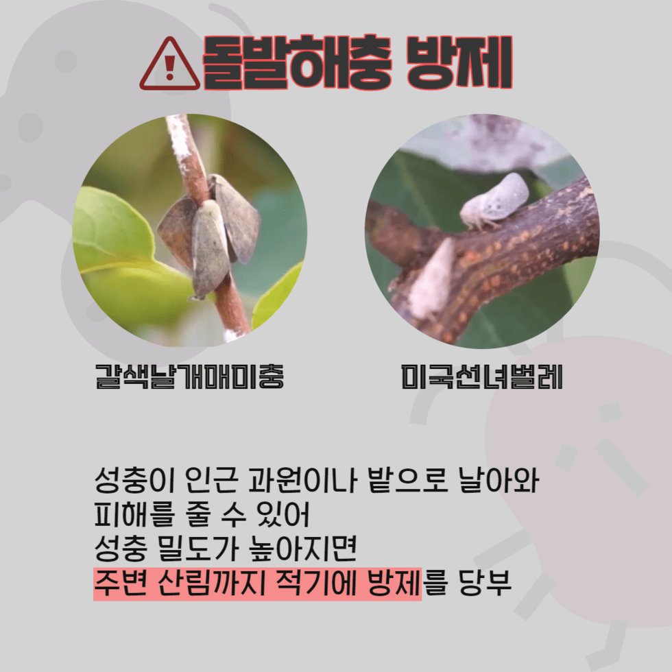 106. 고온다습한 날씨 ‘농작물 병해충 방제 총력’ 5.png