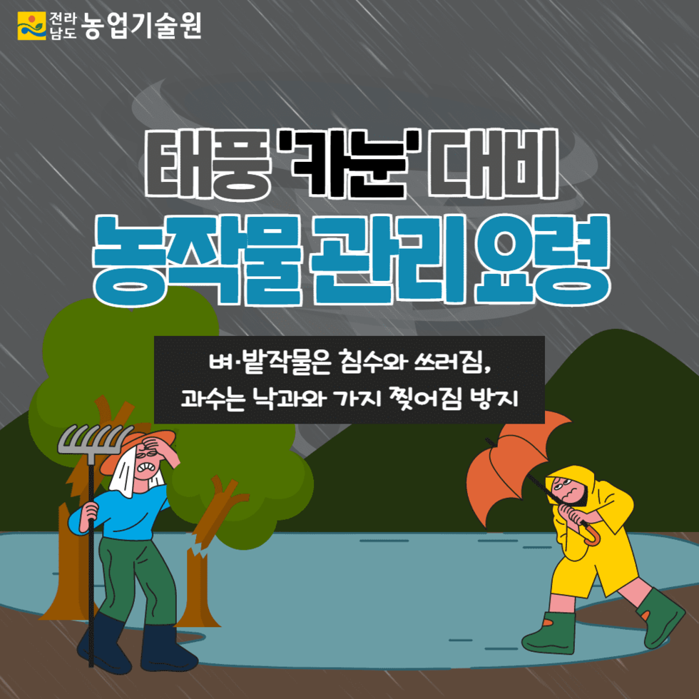 110. 태풍 ‘카눈’ 대비 농작물 관리 철저 당부 1.png