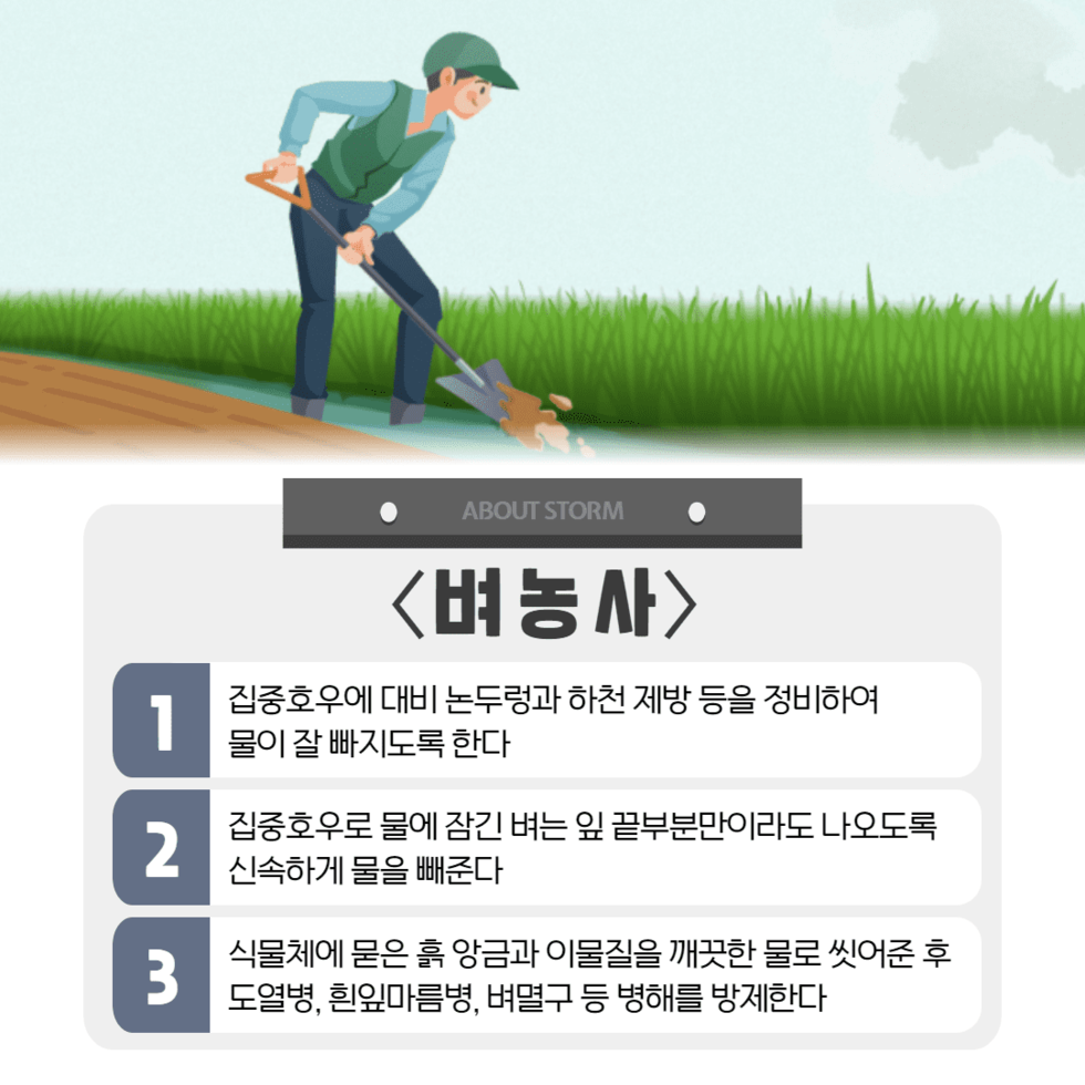 110. 태풍 ‘카눈’ 대비 농작물 관리 철저 당부 3.png