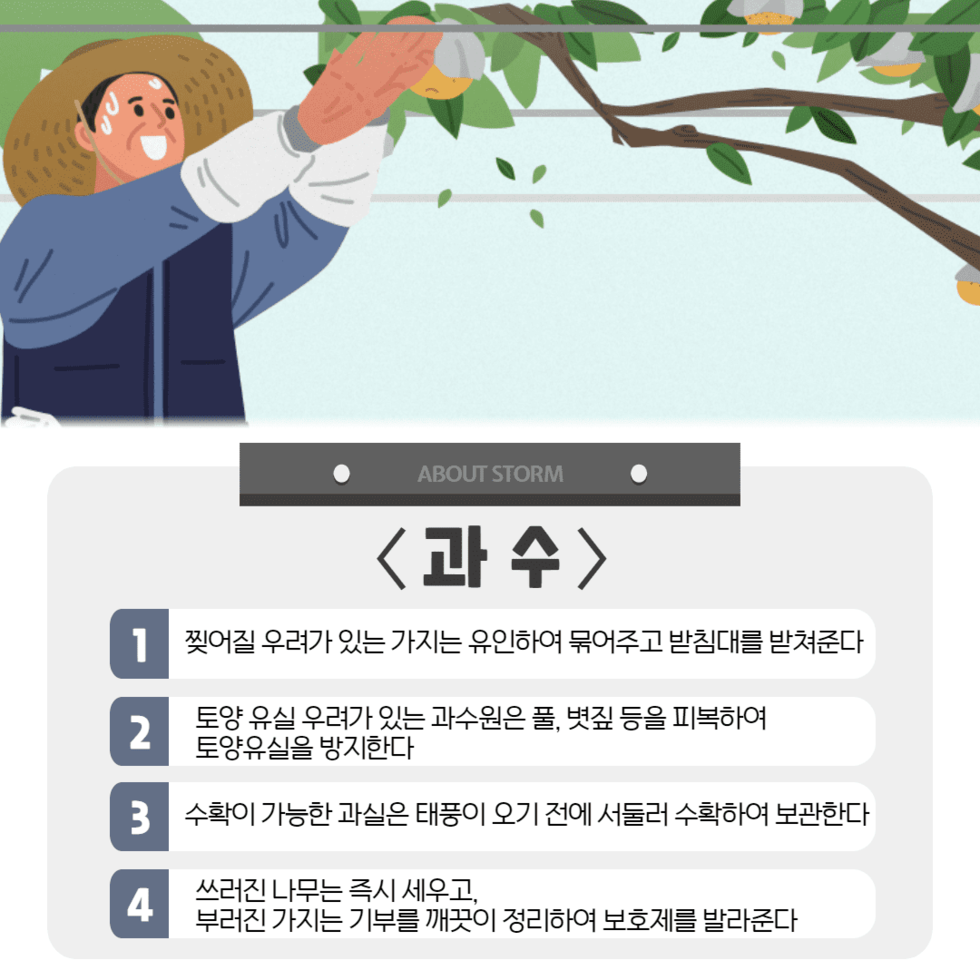 110. 태풍 ‘카눈’ 대비 농작물 관리 철저 당부 5.png