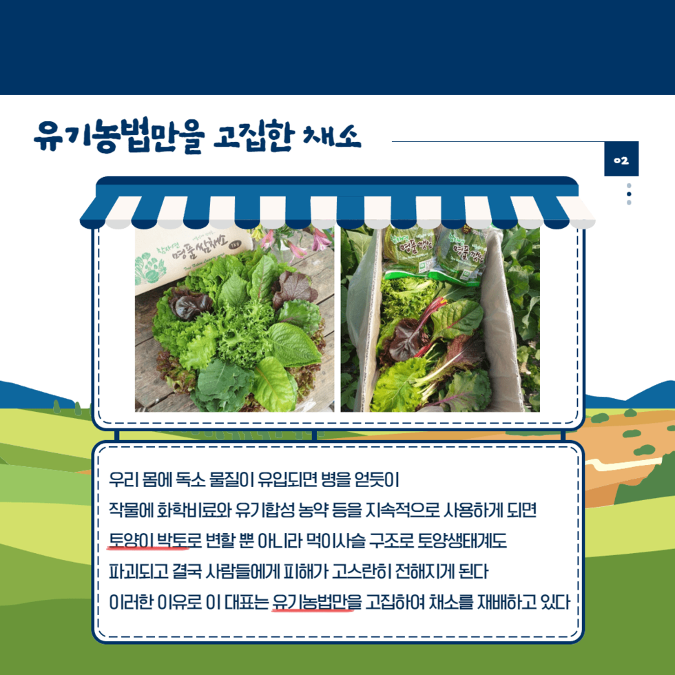 115. 청년농부 이호엽 대표 3대 잇는 친환경 유기농 채소 생산 3.png