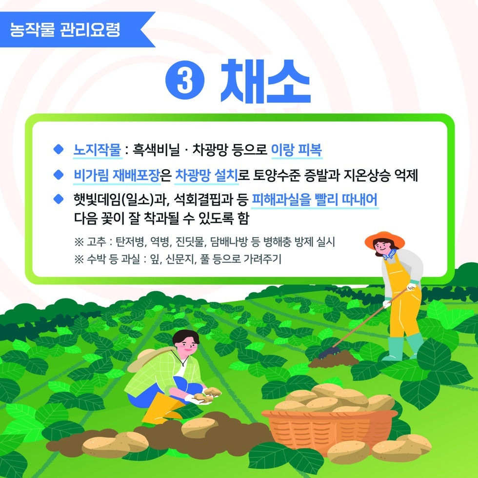 여름철 폭염대비