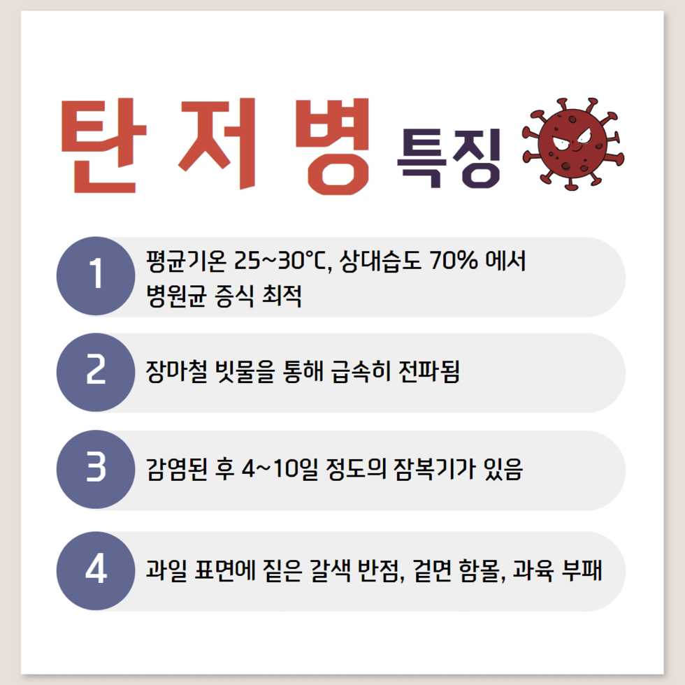 잦은 강우, 과수 탄저병 비상 예방 당부