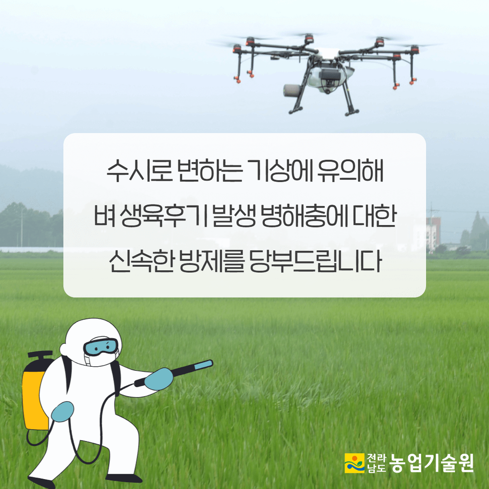 장마 후 벼병해충 집중방제 당부