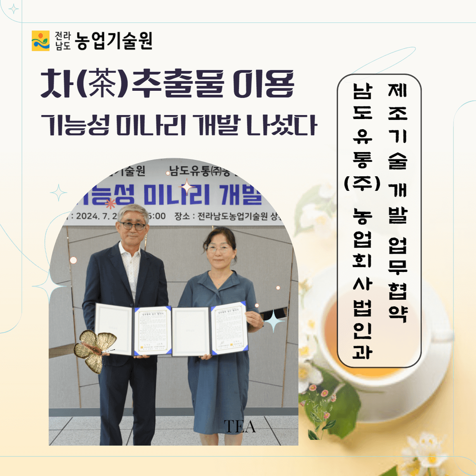 차(茶) 추출물 이용 기능성 미나리 개발