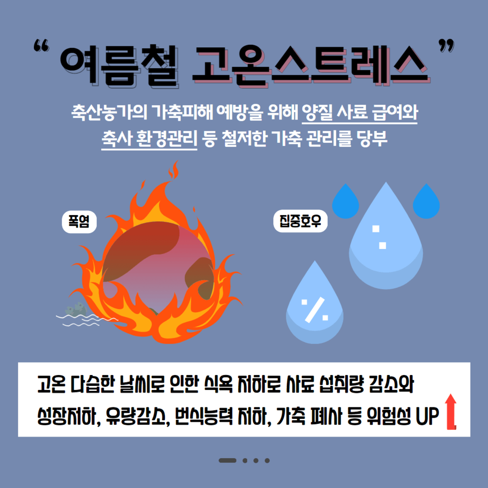 가축 폭염피해 예방