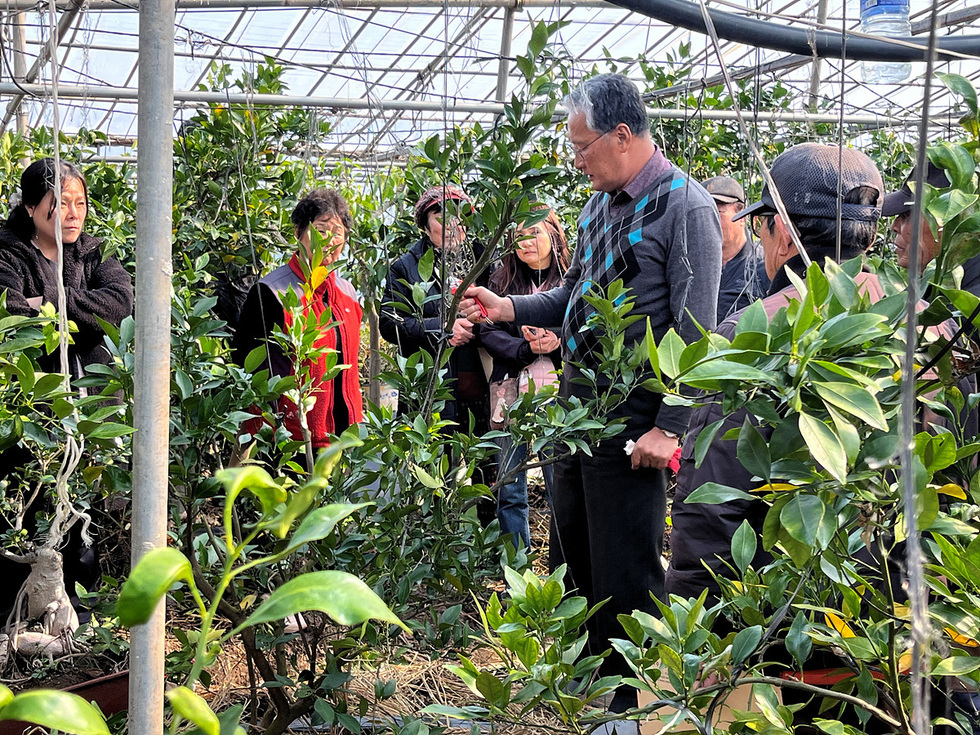 여수시, 고품질 과실 생산을 위한 정지·전정 현장 교육 실시