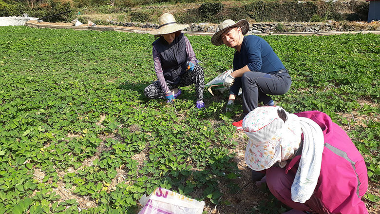 전남에서먼저살아보기1.jpg