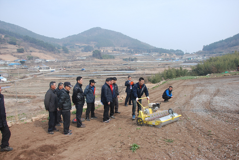 1-1. 여수시, 돌산갓 품질 향상을 위한 지원사업 신속 추진.jpg