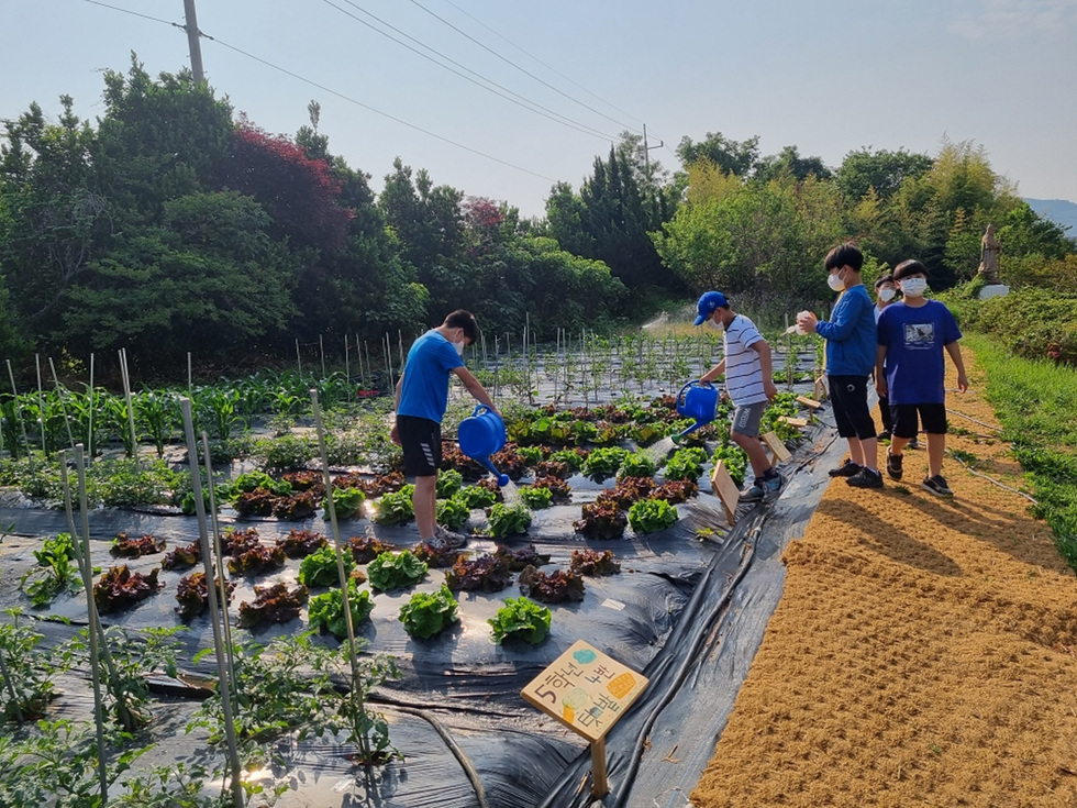 사본 -5+여수농업기술센터+‘학교+텃밭’에서+창의성+쑥쑥!…10개교+모집+(2).jpg