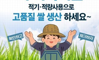  예상 출수기 및 이삭거름 시비 요령 