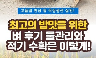 최고의 밥맛을 위한 벼 후기 물관리와 적기수확은 이렇게! 