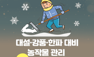 대설 강풍 한파 대비 농작물 관리대처 요령