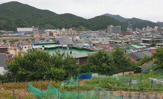 문수지구