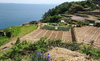 남해 선진지 견학 - 다랭이마을