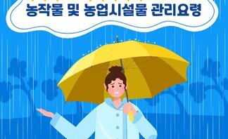 여름철 집중호우, 장마 대비