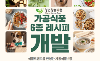 청년 창농타운, 가공식품 6종 레시피 개발