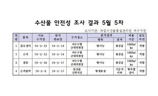 수산물 안정성 조사 결과 5월 5차 조사기관: 국립수산물품질관리원 여수지원 연번, 품목, 시료수거일, 분석완료일, 수거장소, 분석결과(항목|결과), 허용기준, 검토의견 항목으로 구성된 표 1 갑오징어 24-5-13 24-5-14 여수수협군내위판장 방사능 불검출 100Bg/kg 적합 2 소라 24-5-13 24-5-14 여수수협군내위판장 방사능 불검출 100Bg/kg 적합 3 참돔 24-5-16 24-5-17 여수수협군내위판장 방사능 불검출 100Bg/kg 적합 4 조피볼락 24-5-8 24-5-17 돌산읍신복지선 항생물질 기준치이하 항목별상이 적합