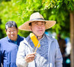 옥수수재배지 방문 및 숏츠촬영