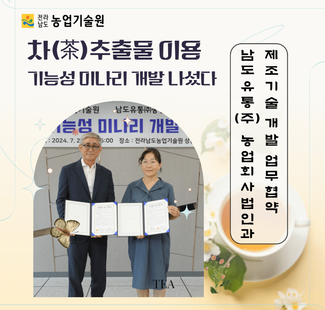 차(茶) 추출물 이용 기능성 미나리 개발