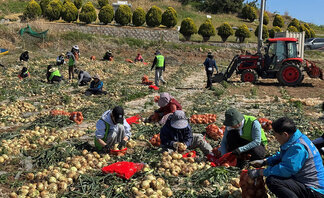 여수시 농업기술센터, 봄철 농번기 농촌 일손 지원 ‘앞장’