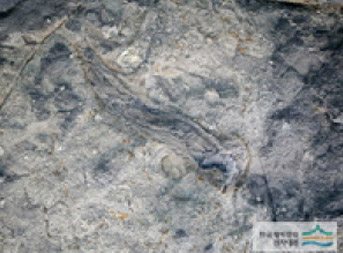 공룡발자국이 찍혀있는 화석에 바닷물이 차있는 모습
