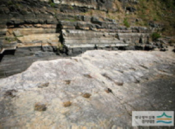 절벽주변에 찍혀있는 공룡발자국모습