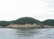 진대섬