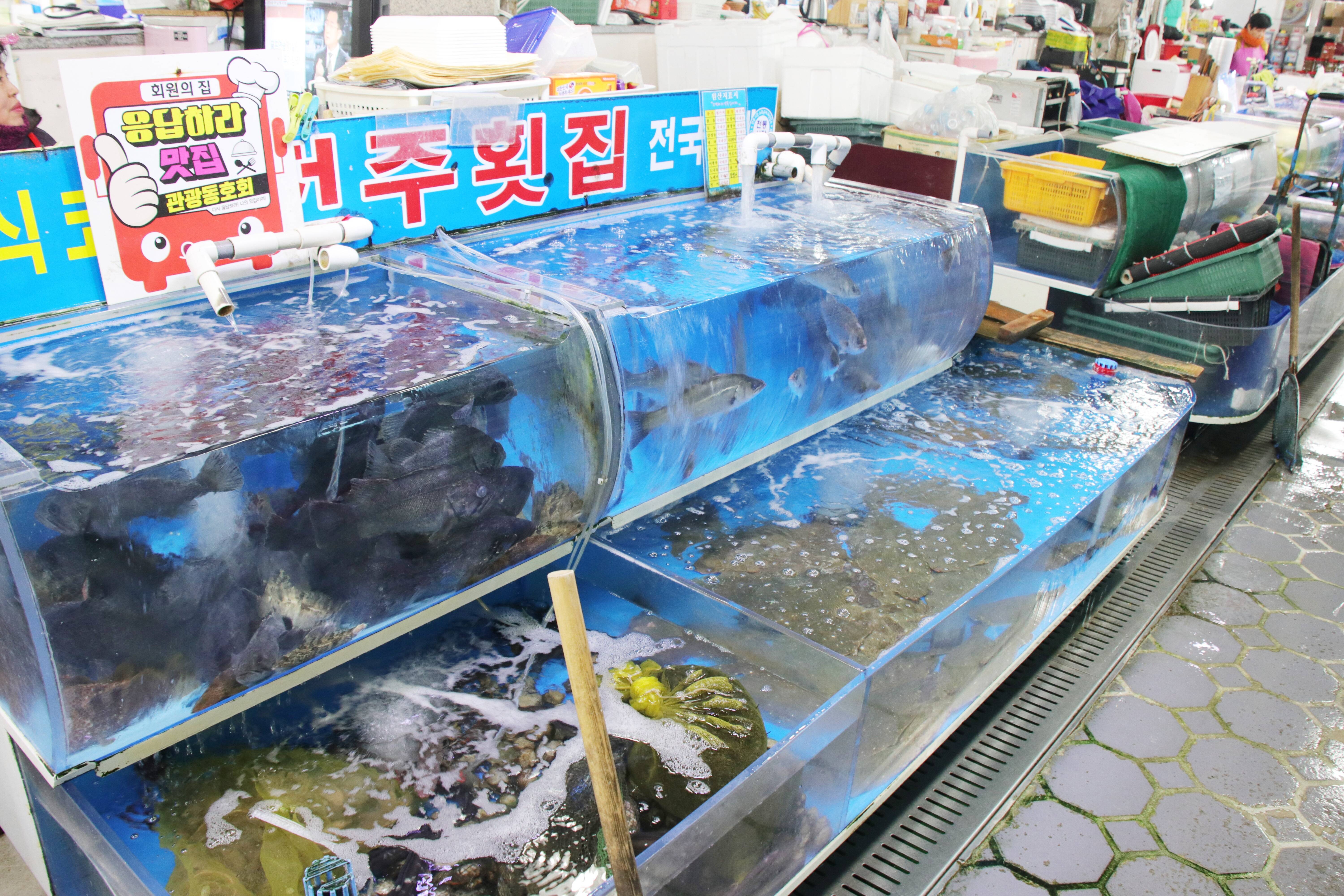 수산물특화시장_3